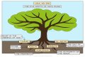 What are the 5 roots of Usul Ad Din?
